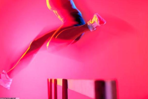 收入最高的体育项目排行榜分析(图1)