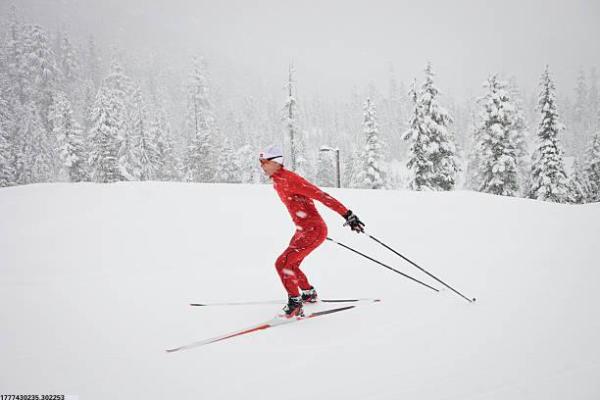 励志体育电影推荐榜单(图1)